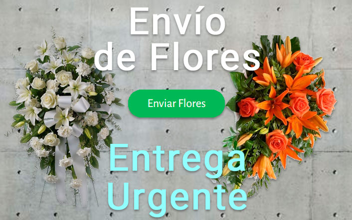 Envío de flores urgente a Tanatorio Teruel